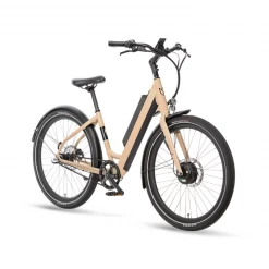 Lekker X Electric Bikes