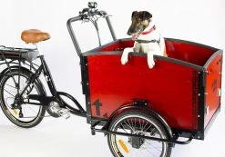 Accessories Tribe Bikes Doggo Securing Ring